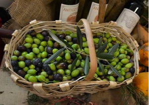 olive-olio-liguria-marcopolonews